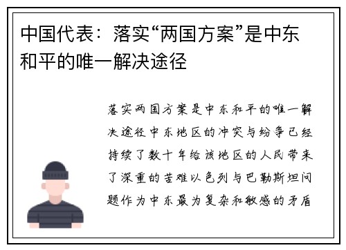 中国代表：落实“两国方案”是中东和平的唯一解决途径